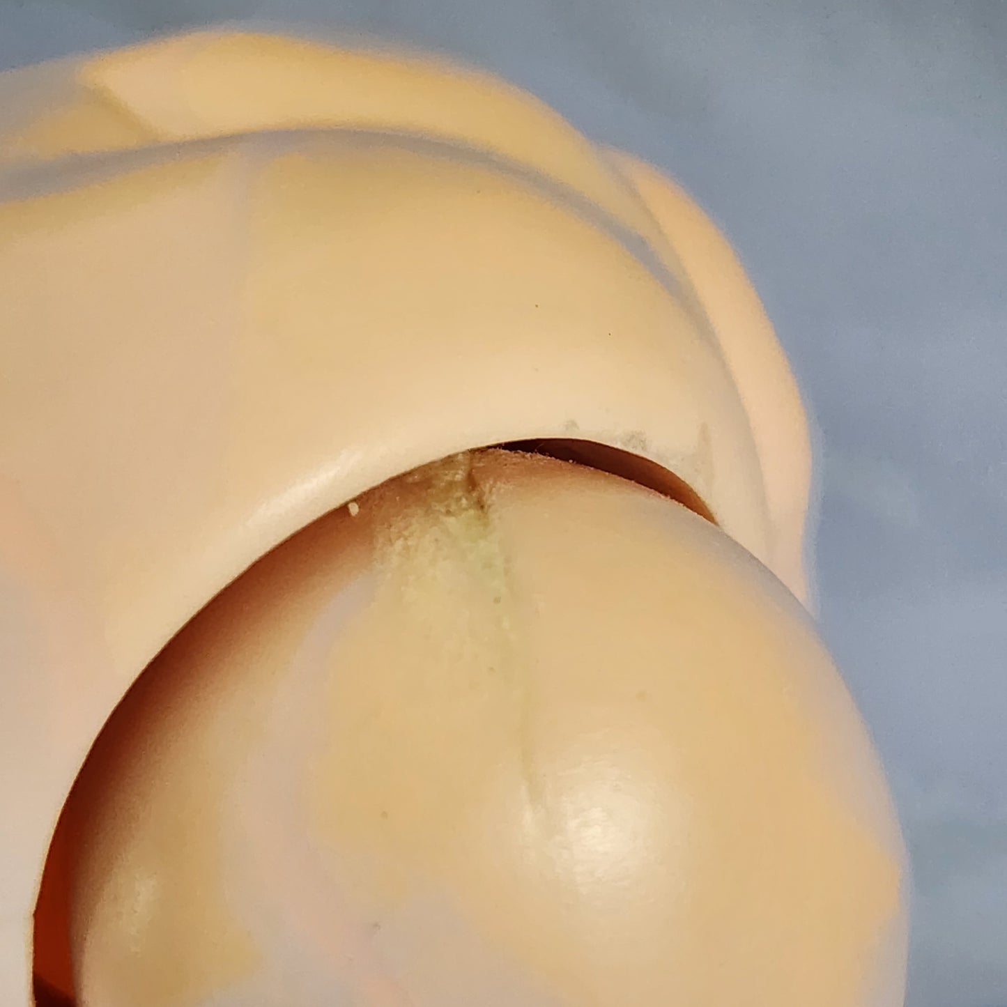 Cissy Queen- SIDE PART, NUDE